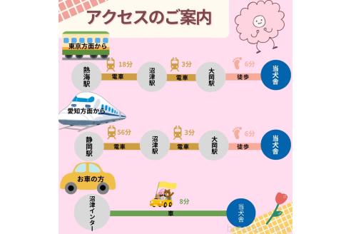 成約済の静岡県のトイプードル-358515の5枚目