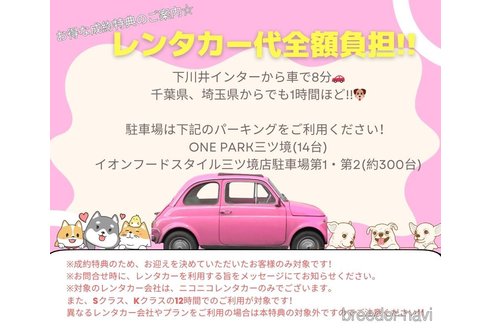 販売中の神奈川県のコッカプー:アメリカンコッカースパニエル×トイプードル-361293の12枚目