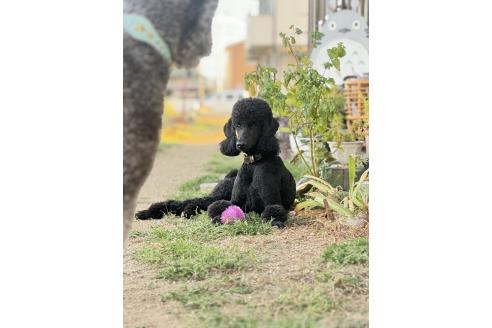 あまねちゃん1枚目