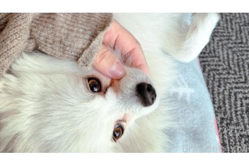 はなちゃん♡ちゃん1枚目