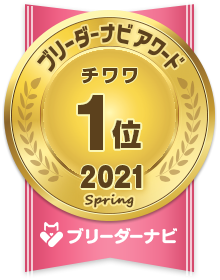 東京都のチャイニーズクレステッドドッグ 男の子 16 04 01生まれ フォーンセーブル ホワイト 子犬id ブリーダーナビ