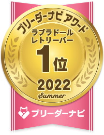 ブリーダーナビ アワード 2022 夏 人気犬種部門_ラブラドールレトリーバー 1位