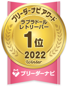 ブリーダーナビ アワード 2022 冬 人気犬種部門_ラブラドールレトリーバー 1位