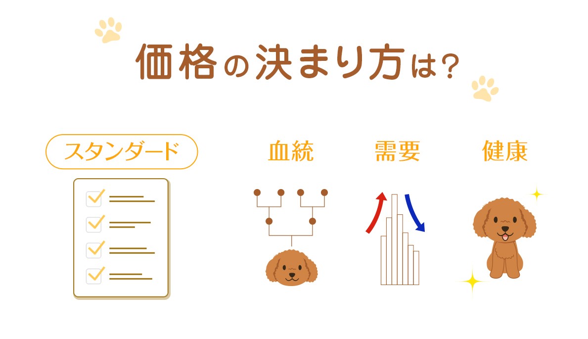 年最新版 トイプードルの値段相場は 毛色や性別による違いも ブリーダーナビ