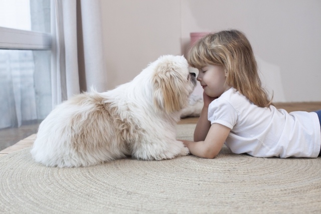 いくつ知ってる 愛犬からの 好きのサイン 6選 ブリーダーナビ