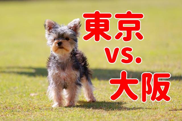 地域によって違う！都道府県別『人気犬種ランキング』東京vs.大阪編