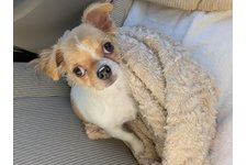 テリーの写真1枚目