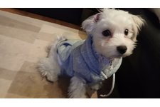 へーの写真1枚目