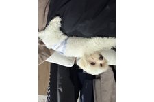 もっぷの写真1枚目