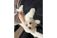 もっぷの写真2枚目