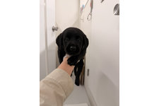 モリの写真1枚目