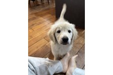 ゆめの写真1枚目