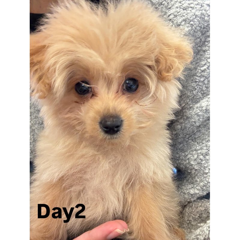 てんさんのレビュー画像