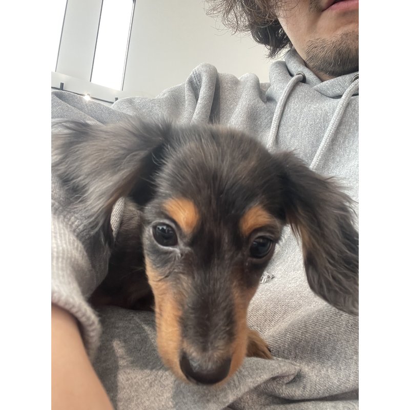 t.macさんのレビュー画像