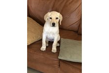 YUKIの写真1枚目