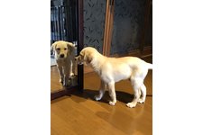 YUKIの写真2枚目