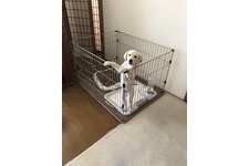 YUKIの写真3枚目