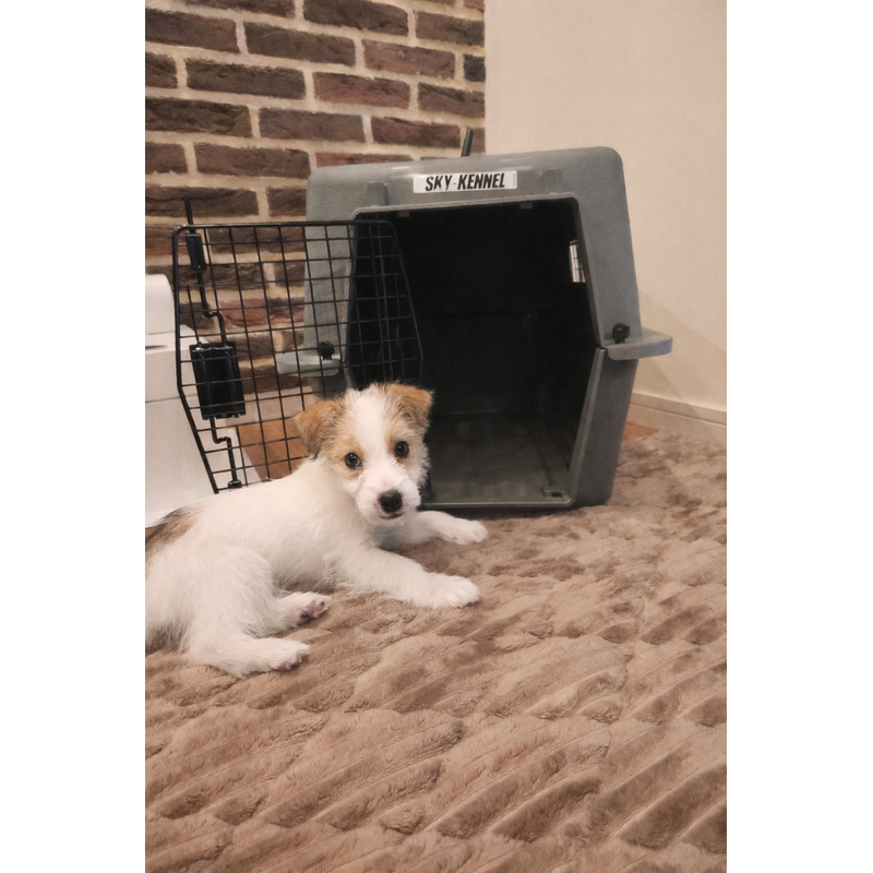 りささんのレビュー画像