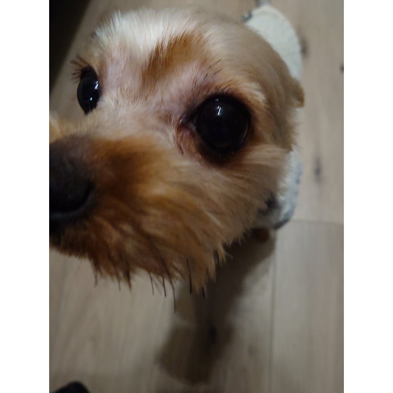 きなこさんのレビュー画像