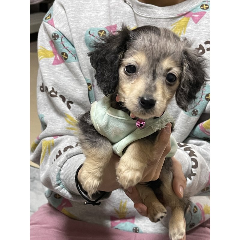 ほのかさんのレビュー画像