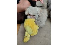 バースの写真1枚目