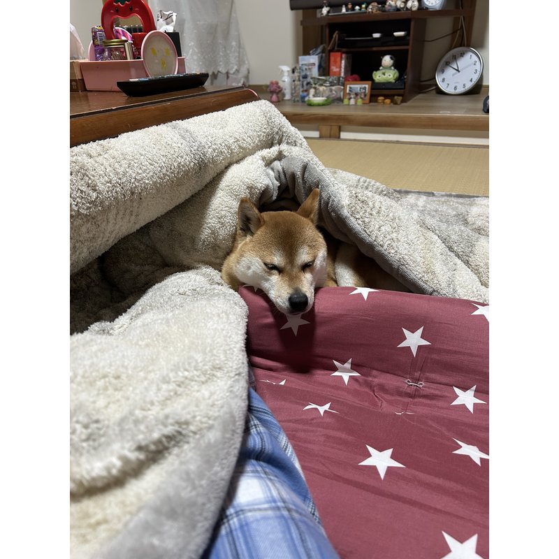 たかのぶださんのレビュー画像