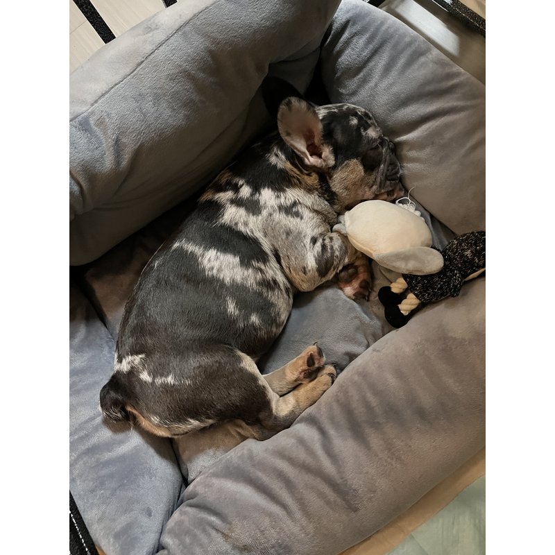 まぁさんのレビュー画像