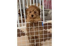 パティの写真1枚目