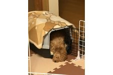 パティの写真2枚目