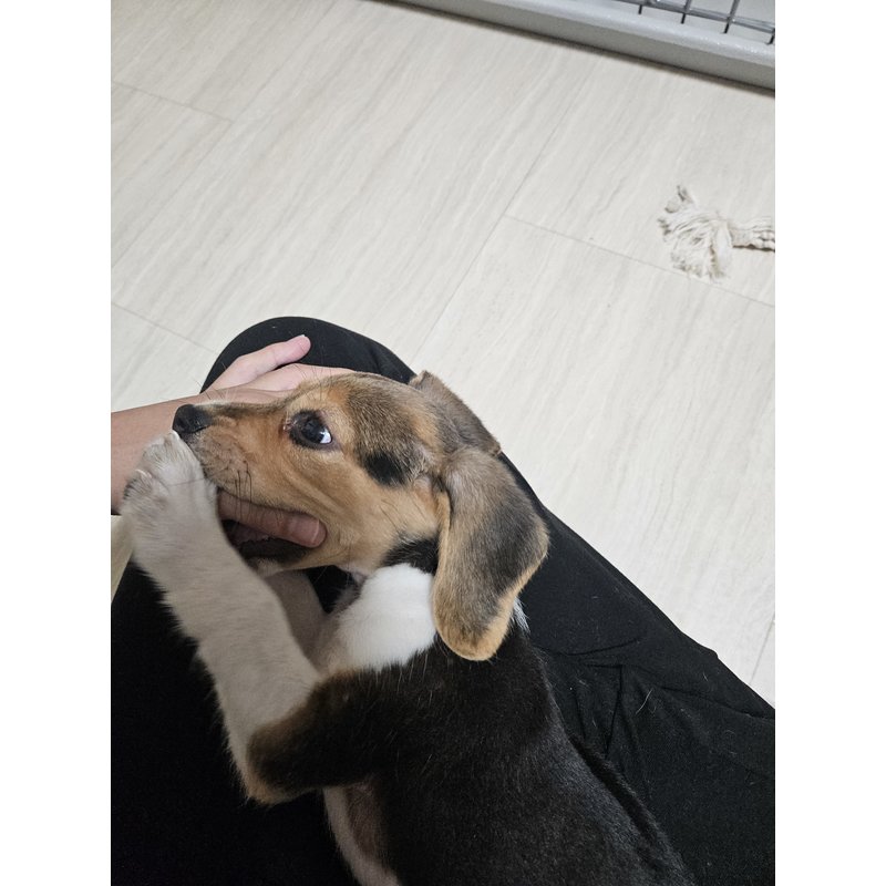 たんこぶさんのレビュー画像