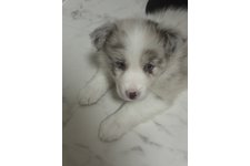 シェリーの写真2枚目