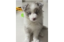 シェリーの写真4枚目