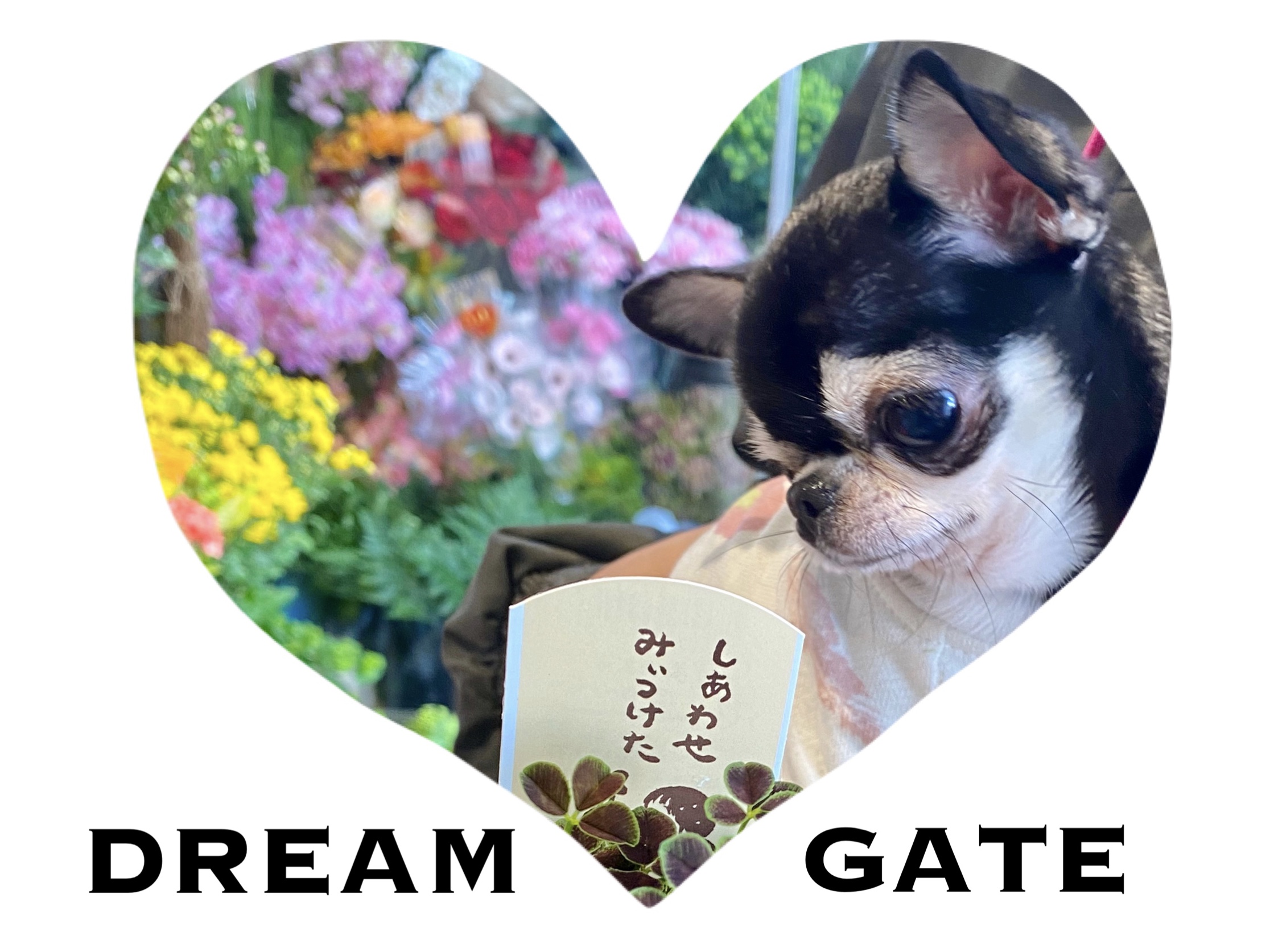 内藤ブリーダー