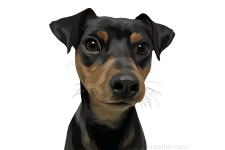 白須 クリスティーナ舞夢