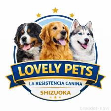 山崎 エリサ エリカ